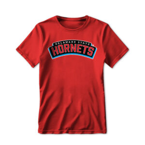 '25 Unisex Delaware State Tee w/ Primary Wordmark - Color